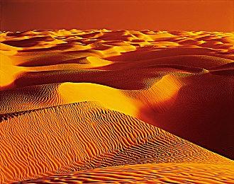 第一后裔推出终极继承者-露娜与全新休闲室系统